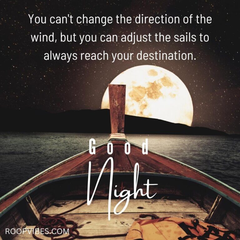 Beautiful Picture With Good Night Quotes | Roopvibes