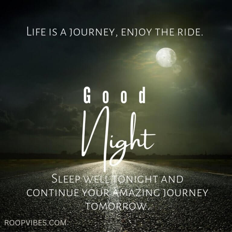 Beautiful Good Night Image With Quote On Life Journey

