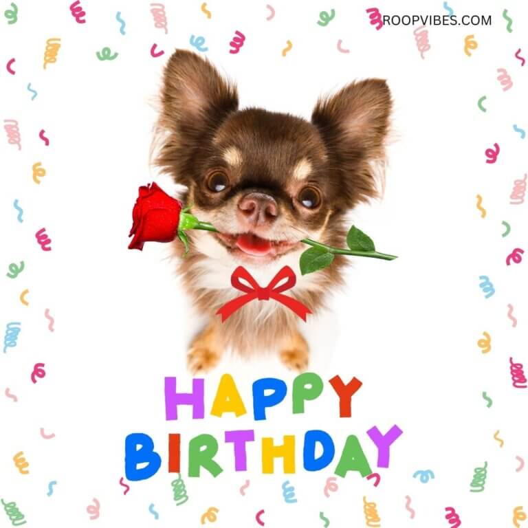Cute Birthday Pic With Greetings | Roopvibes