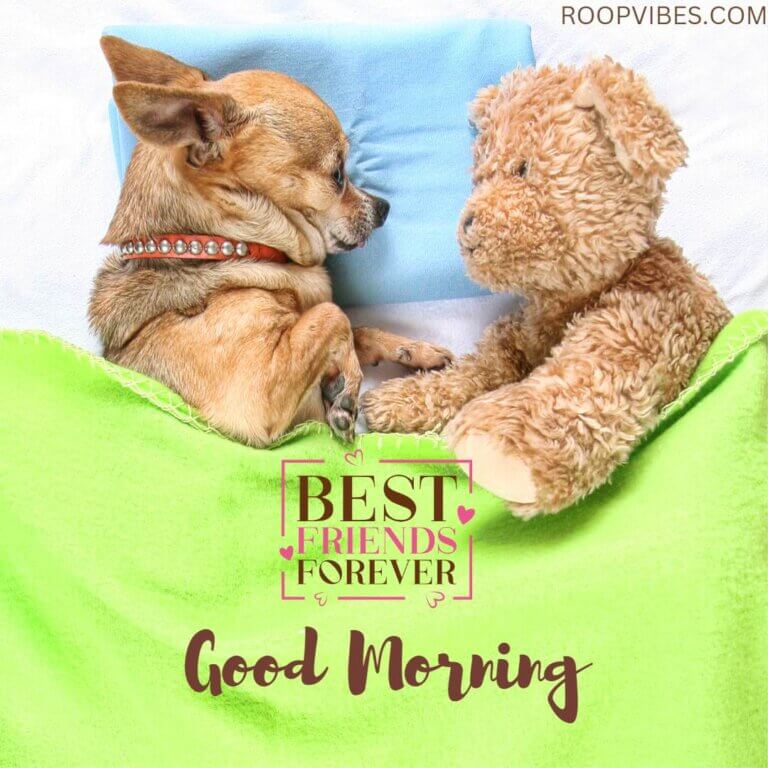 Cute Good Morning Image For Best Friends
