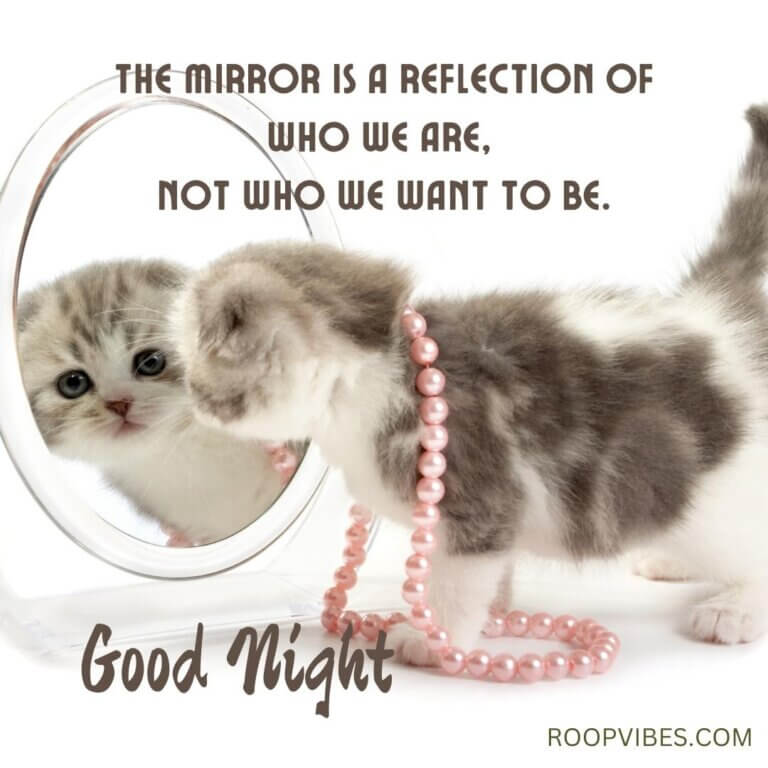 Cute Good Night Image With Meaningful Quote | Roopvibes