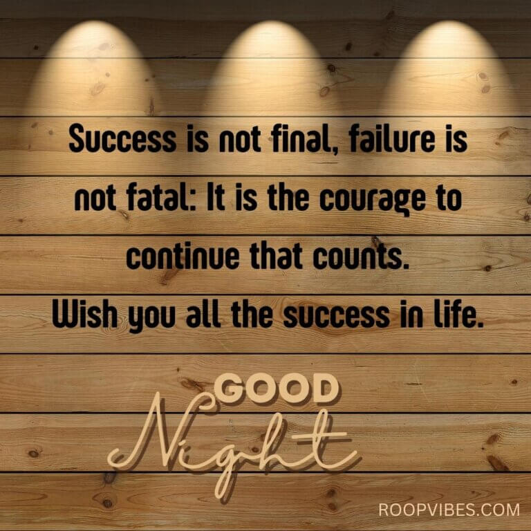 Good Night Image On Success | Roopvibes