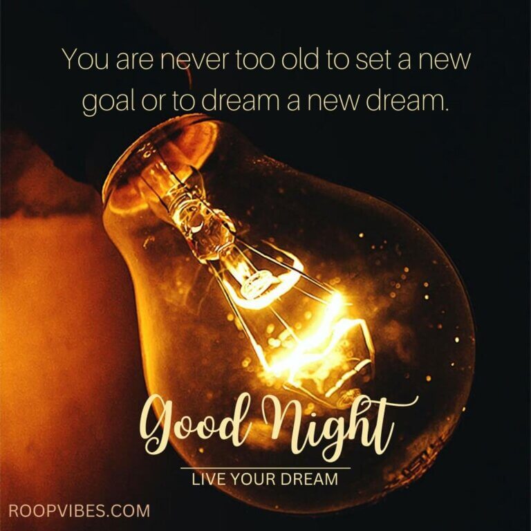 Heartwarming Quotes On Good Night Image | Roopvibes