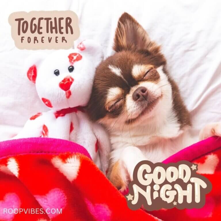Sweet Good Night Image With Love Message | Roopvibes