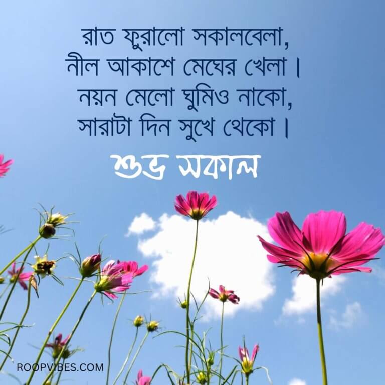 Good Morning Quotes In Bengali | Roopvibes