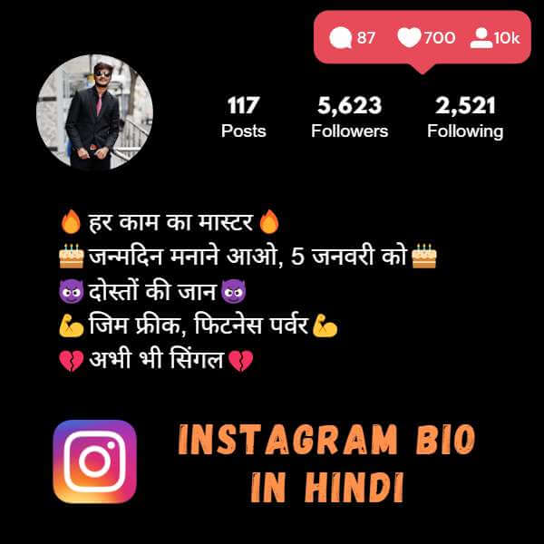 Instagram Bio In Hindi For Boys
