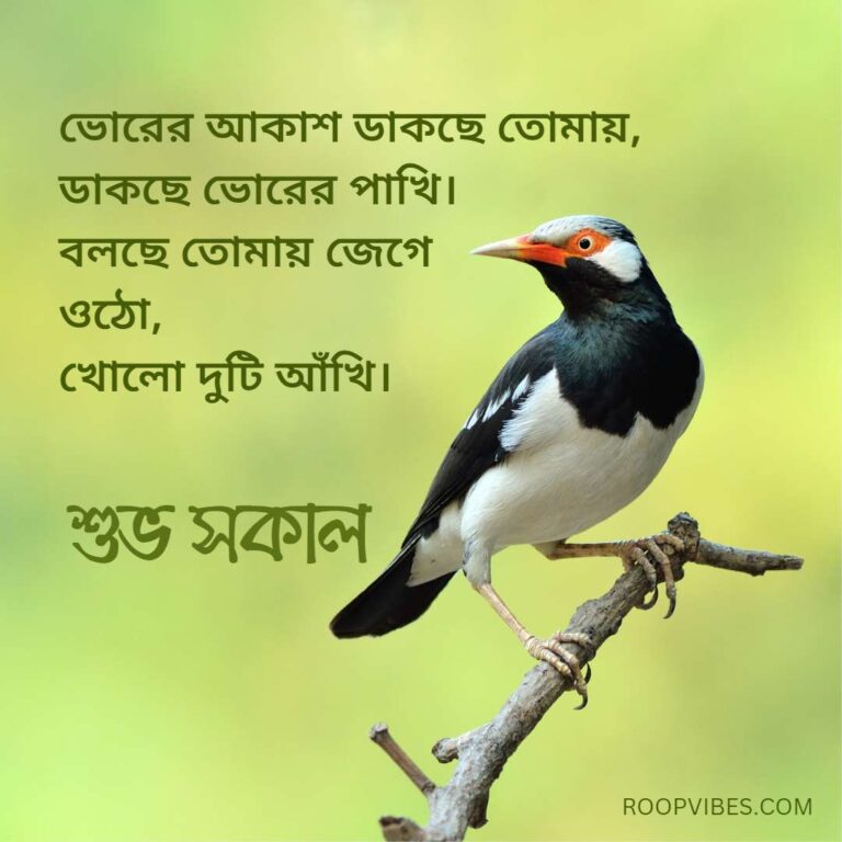 Poetic Good Morning Bengali Wish | Roopvibes