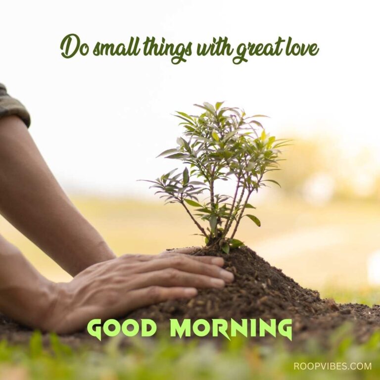 Human Hands Planting A Tree Coupled With A Good Morning Quote