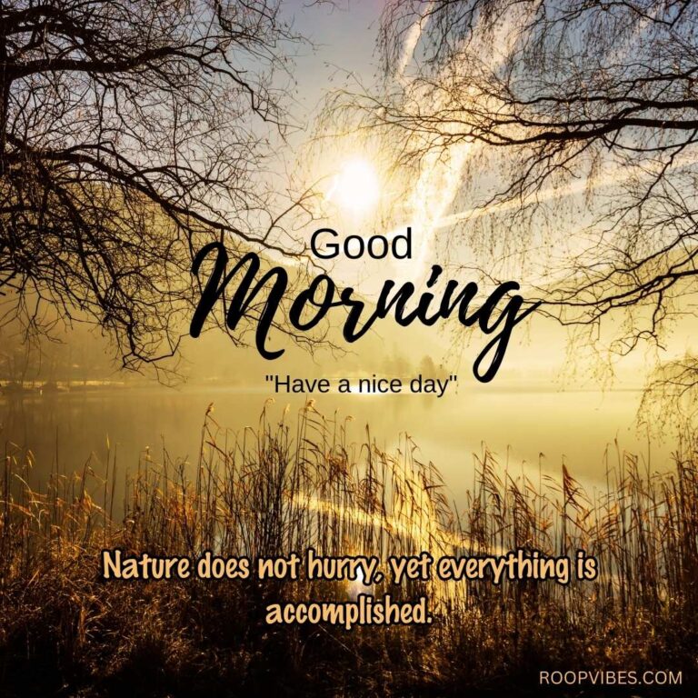 Forest Wilderness At Sunrise With Good Morning Wish And A Meaningful Quote