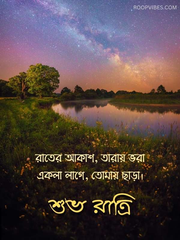 50+ Best Good Night Wishes in Bengali With Images and Quotes | RoopVibes