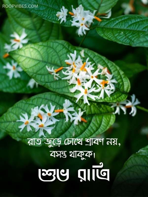 Bengali Good Night Images Collection | Roopvibes