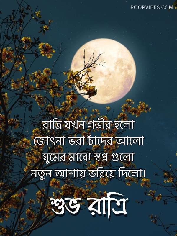 Bengali Good Night Poems | Roopvibes