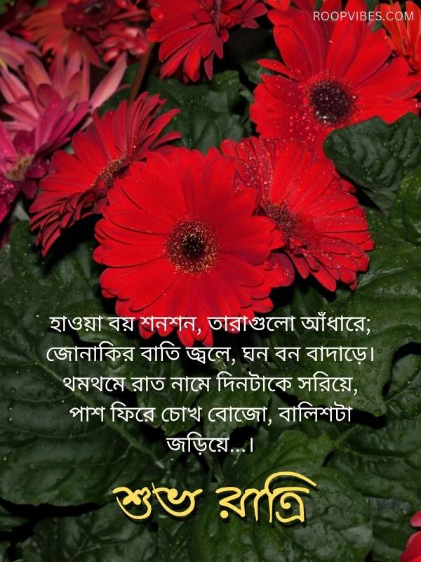 Heartfelt Good Night Wishes In Bengali | Roopvibes