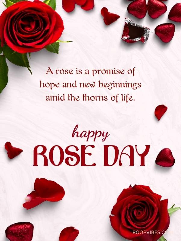 Happy Rose Day Greetings | Roopvibes
