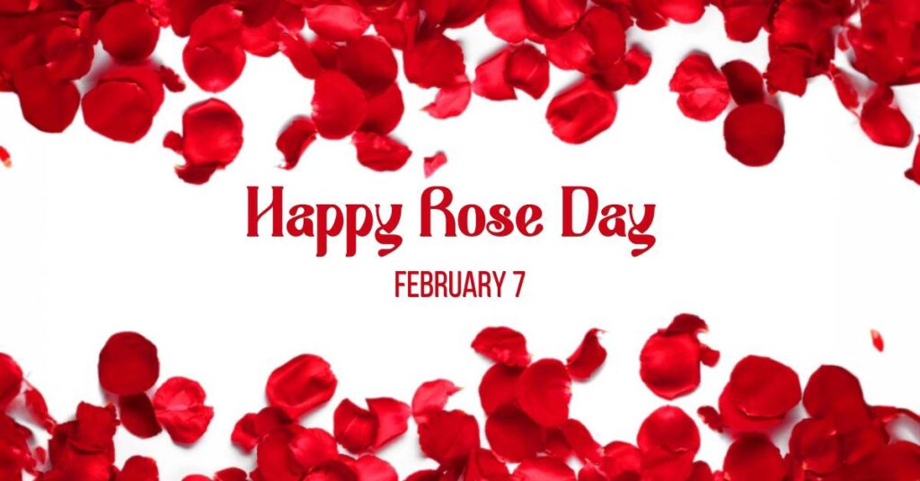 Happy Rose Day 2024: Best Wishes, Images, and Quotes to Express Your ...