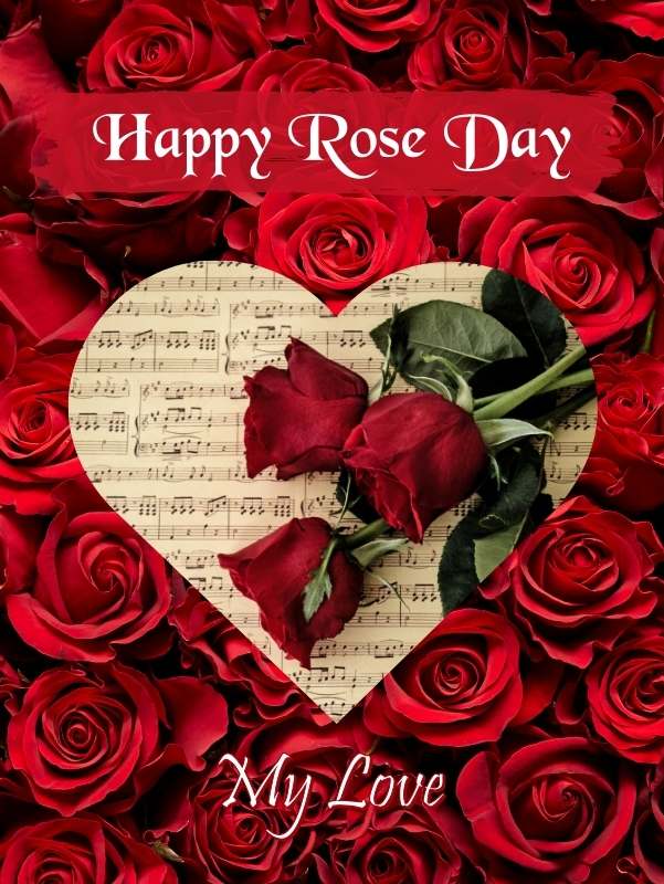 Happy Rose Day 2024 | Roopvibes