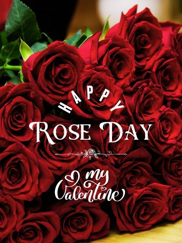 Valentine Rose Day Wishes | Roopvibes