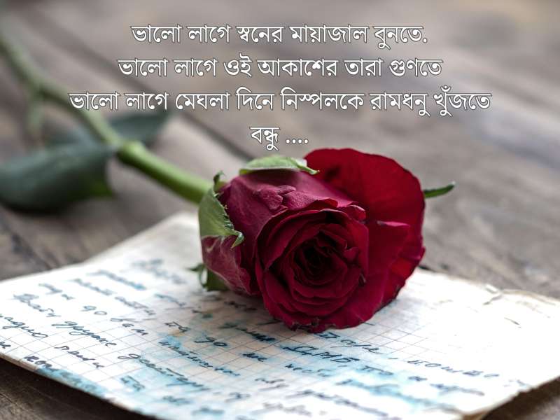 কীভাবে আপনার ভালোবাসা প্রকাশ করবেন | Roopvibes