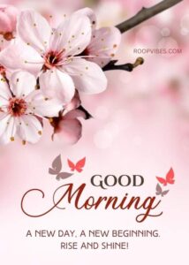30+ Beautiful Good Morning Images with Flowers and Quotes - RoopVibes