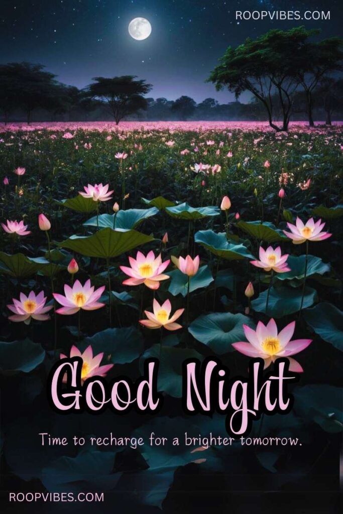 Pink Florescent Lotus Flowers In Bloom Under A Moonlit Sky With A Good Night Wish