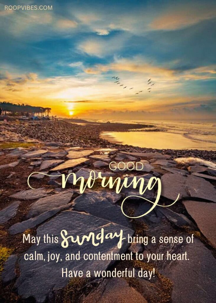 50 Best Good Morning Sunday Wishes Images And Quotes RoopVibes 50 Best Good Morning Sunday Wishes Images And Quotes RoopVibes