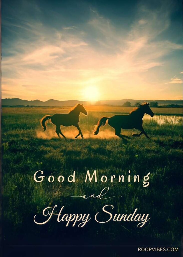 Two Horses Running Freely In A Lush Green Field During Sunrise, With The Text ‘Good Morning And Happy Sunday.