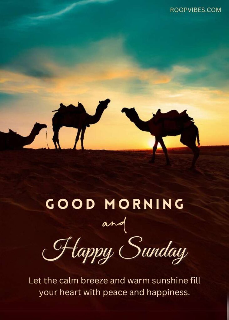 A Serene Thar Desert Scene At Jaisalmer With Camels In Silhouette Against The Vibrant Sunrise Sky, Accompanied By The Text ‘Good Morning And Happy Sunday.