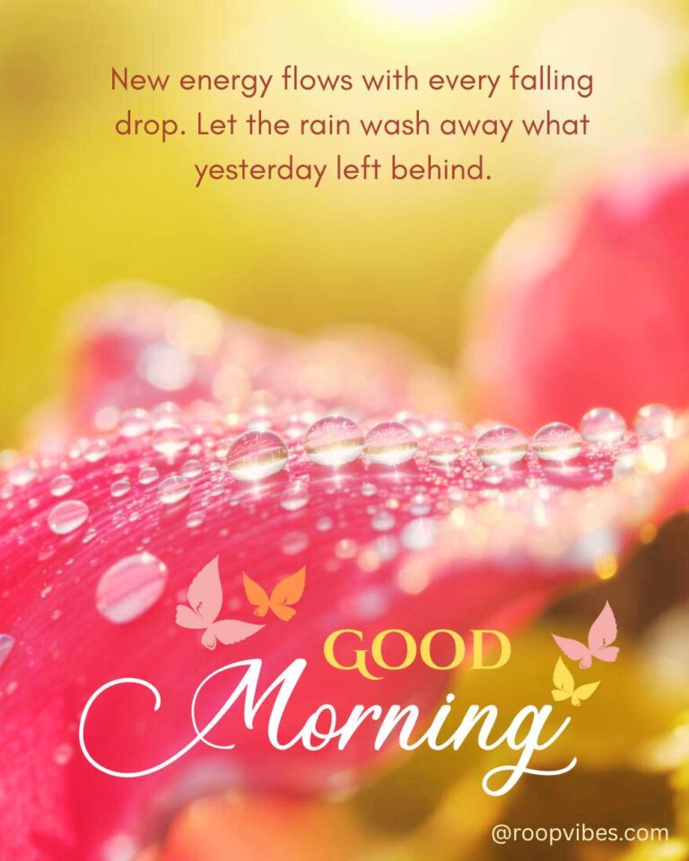 Close-Up Of Pink Flower Petals Covered In Raindrops Under Soft Morning Sunlight With A Fresh And Uplifting Good Morning Rainy Day Quote.