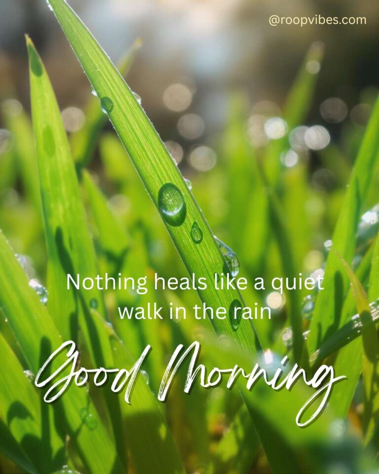 Close-Up Of Raindrops On Fresh Green Grass In Soft Morning Light With Peaceful Good Morning Rainy Day Wishes.