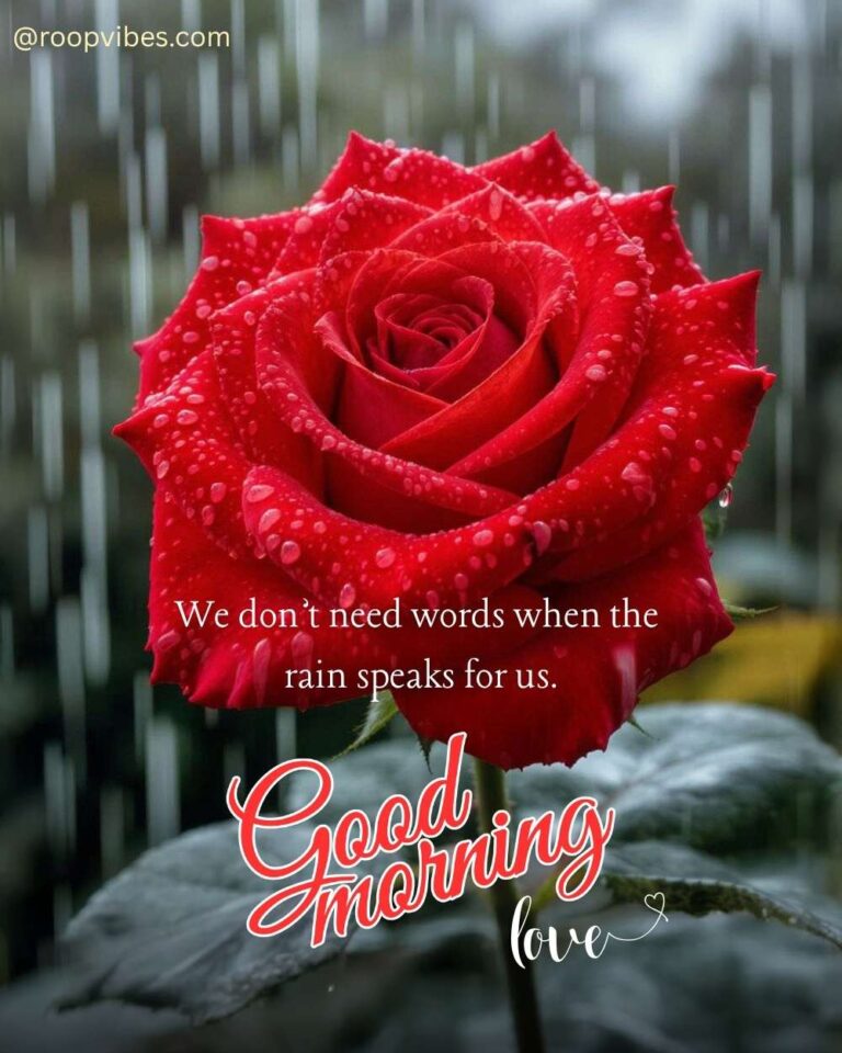 Romantic Rainy Good Morning Wishes | Roopvibes