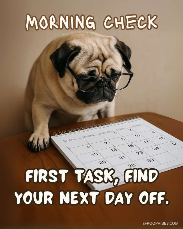 Animal Good Morning Memes | Roopvibes