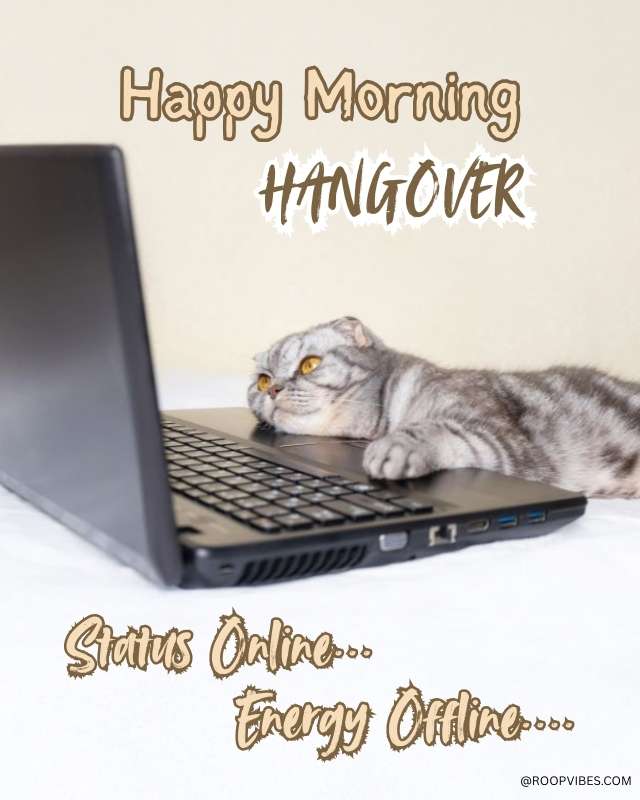 Cool Funny Good Morning Memes | Roopvibes