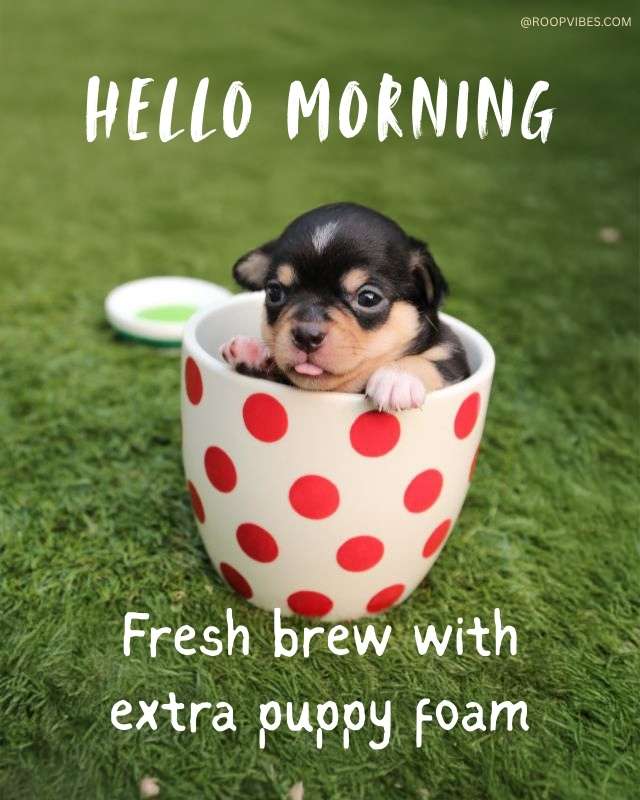 Cute Good Morning Meme | Roopvibes