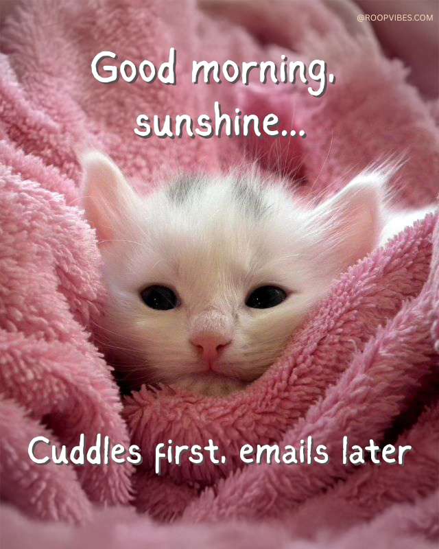 Cute Good Morning Memes | Roopvibes